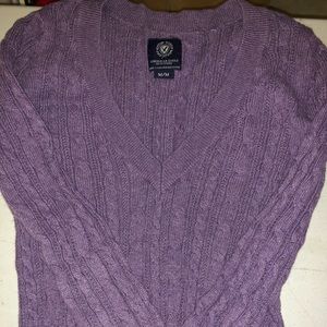 American Eagle V neck sweater